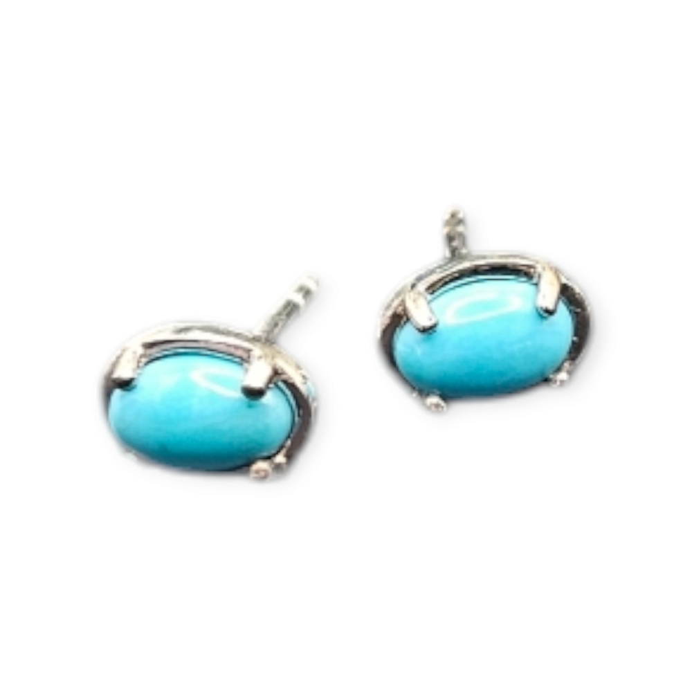 Sleeping Beauty Turquoise Earrings